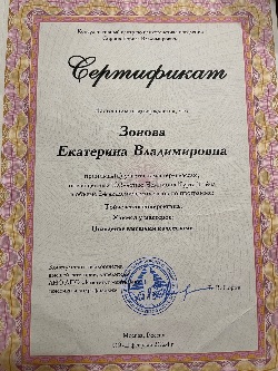 Сертификат Тойчевская синергетика